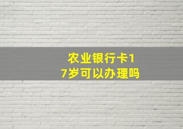 农业银行卡17岁可以办理吗