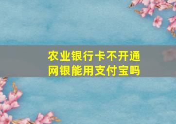 农业银行卡不开通网银能用支付宝吗