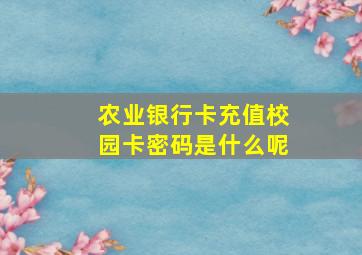 农业银行卡充值校园卡密码是什么呢