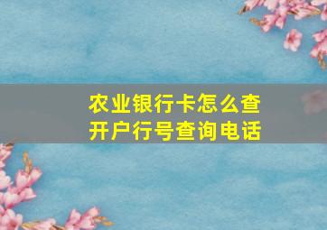 农业银行卡怎么查开户行号查询电话