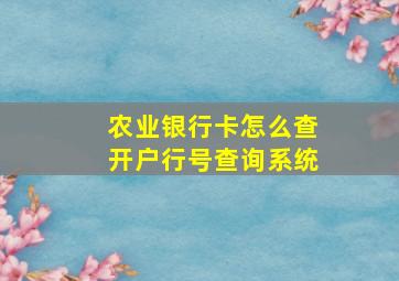 农业银行卡怎么查开户行号查询系统