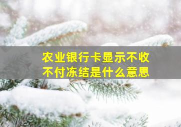 农业银行卡显示不收不付冻结是什么意思