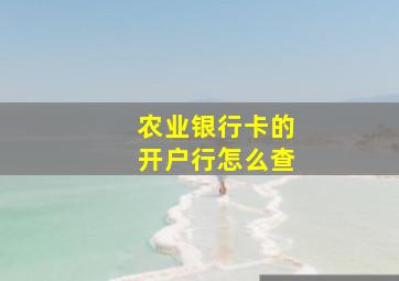 农业银行卡的开户行怎么查