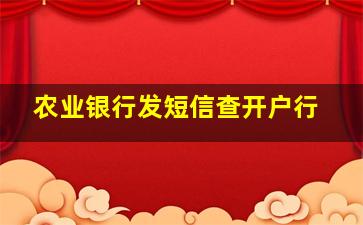 农业银行发短信查开户行