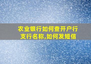 农业银行如何查开户行支行名称,如何发短信