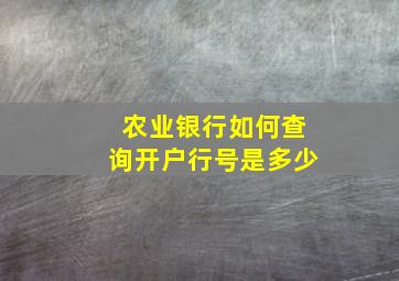 农业银行如何查询开户行号是多少