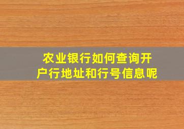 农业银行如何查询开户行地址和行号信息呢