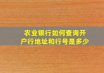 农业银行如何查询开户行地址和行号是多少