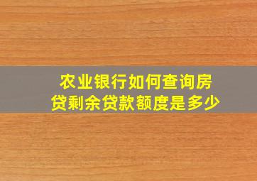 农业银行如何查询房贷剩余贷款额度是多少