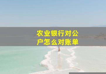 农业银行对公户怎么对账单