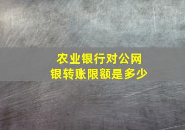 农业银行对公网银转账限额是多少