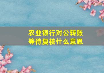 农业银行对公转账等待复核什么意思