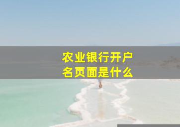 农业银行开户名页面是什么