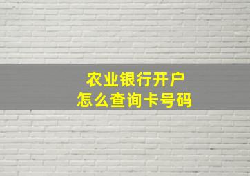 农业银行开户怎么查询卡号码