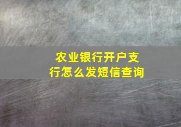 农业银行开户支行怎么发短信查询