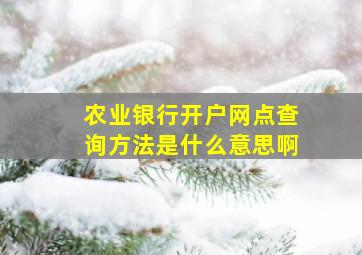 农业银行开户网点查询方法是什么意思啊