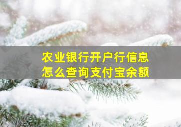 农业银行开户行信息怎么查询支付宝余额