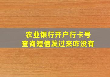 农业银行开户行卡号查询短信发过来咋没有