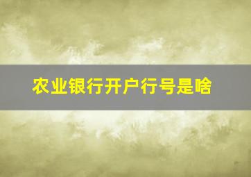 农业银行开户行号是啥