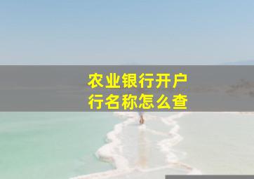 农业银行开户行名称怎么查