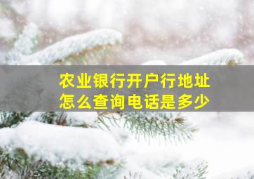 农业银行开户行地址怎么查询电话是多少