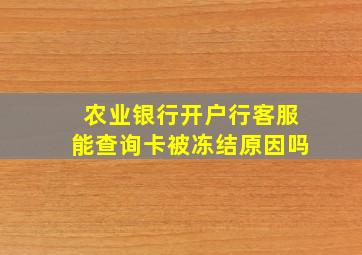 农业银行开户行客服能查询卡被冻结原因吗