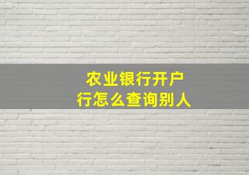 农业银行开户行怎么查询别人