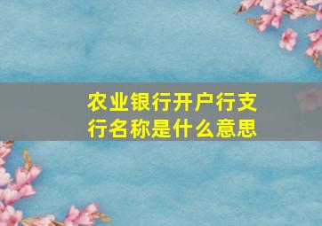 农业银行开户行支行名称是什么意思