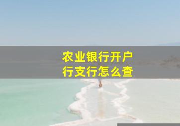 农业银行开户行支行怎么查