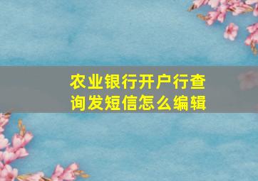 农业银行开户行查询发短信怎么编辑