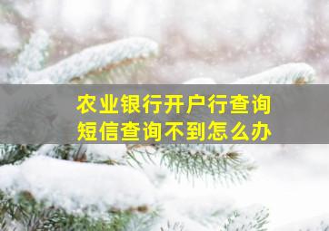 农业银行开户行查询短信查询不到怎么办