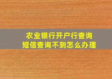 农业银行开户行查询短信查询不到怎么办理