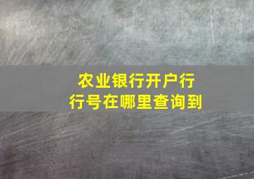 农业银行开户行行号在哪里查询到