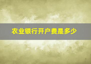 农业银行开户费是多少