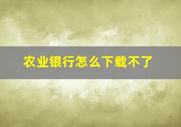 农业银行怎么下载不了