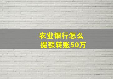 农业银行怎么提额转账50万