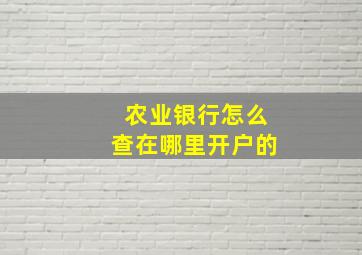 农业银行怎么查在哪里开户的