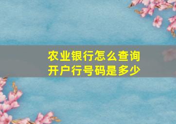 农业银行怎么查询开户行号码是多少