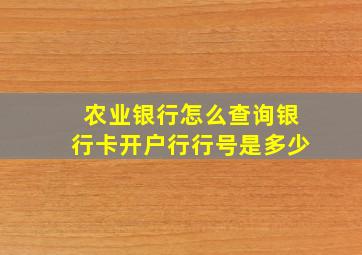 农业银行怎么查询银行卡开户行行号是多少