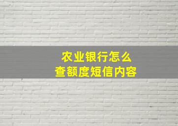 农业银行怎么查额度短信内容