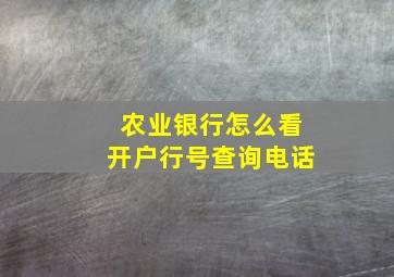 农业银行怎么看开户行号查询电话