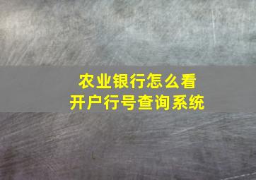 农业银行怎么看开户行号查询系统