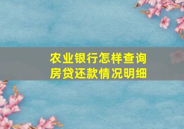 农业银行怎样查询房贷还款情况明细