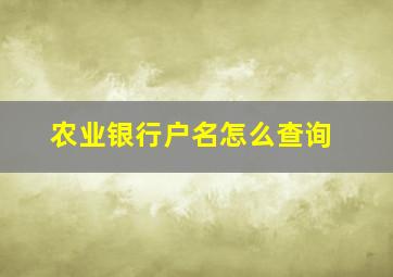 农业银行户名怎么查询