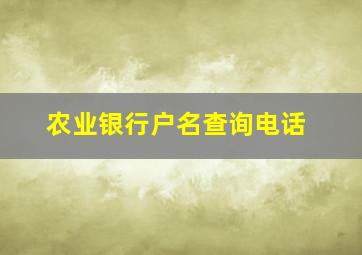 农业银行户名查询电话