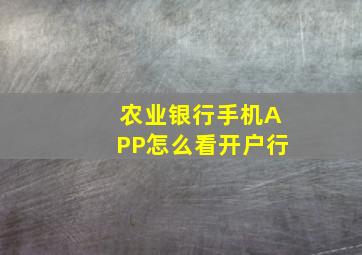 农业银行手机APP怎么看开户行