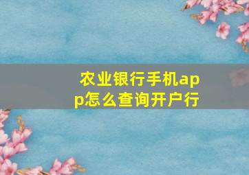 农业银行手机app怎么查询开户行