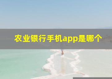 农业银行手机app是哪个