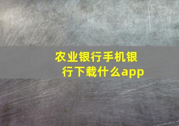 农业银行手机银行下载什么app