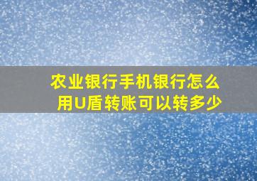 农业银行手机银行怎么用U盾转账可以转多少